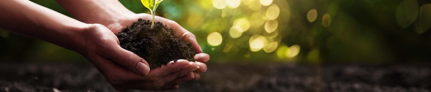 banner-plant-trees copy